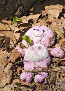 teddybear