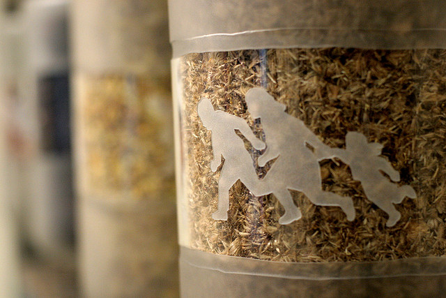 Bendicion para un mojado