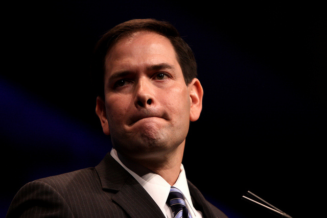 marco rubio immigration