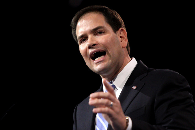 marco rubio immigration