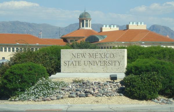 new mexico state university