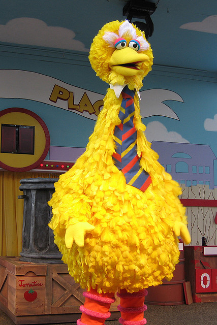 big bird