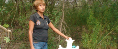 for bullerts its open borders