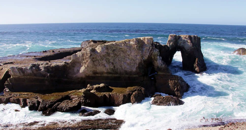 View of the ocean from Point Arena Stornetta public lands. (Photo by Jim Pickering/BLM)